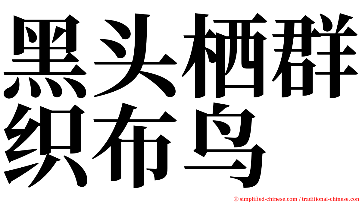 黑头栖群织布鸟 serif font