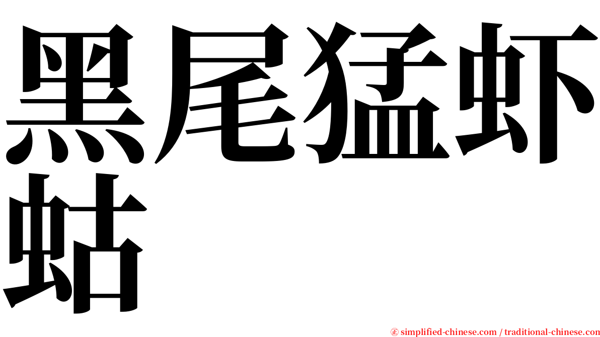 黑尾猛虾蛄 serif font