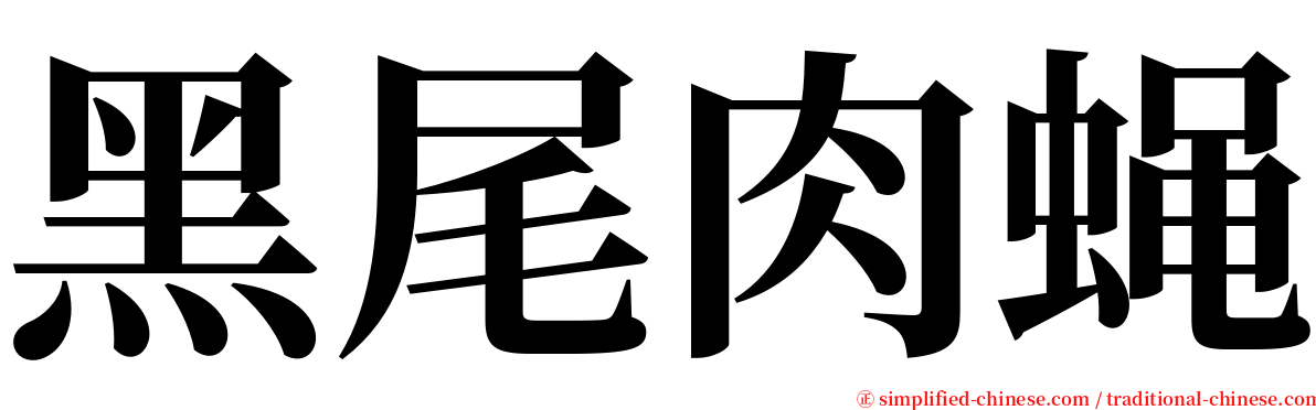 黑尾肉蝇 serif font