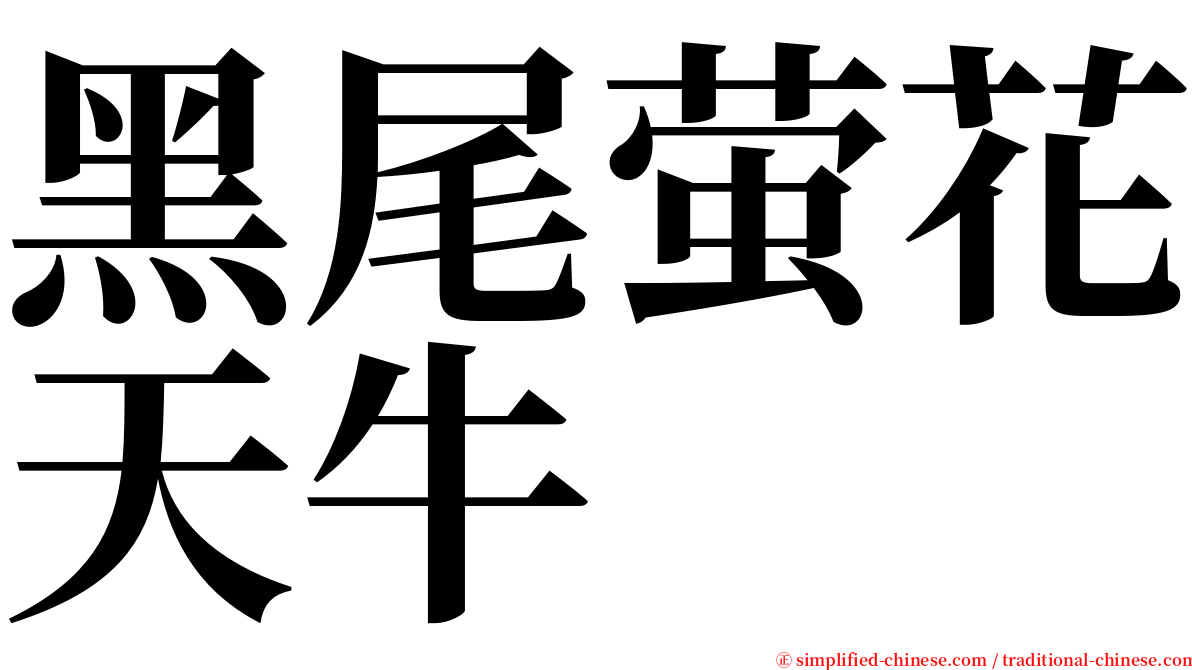 黑尾萤花天牛 serif font