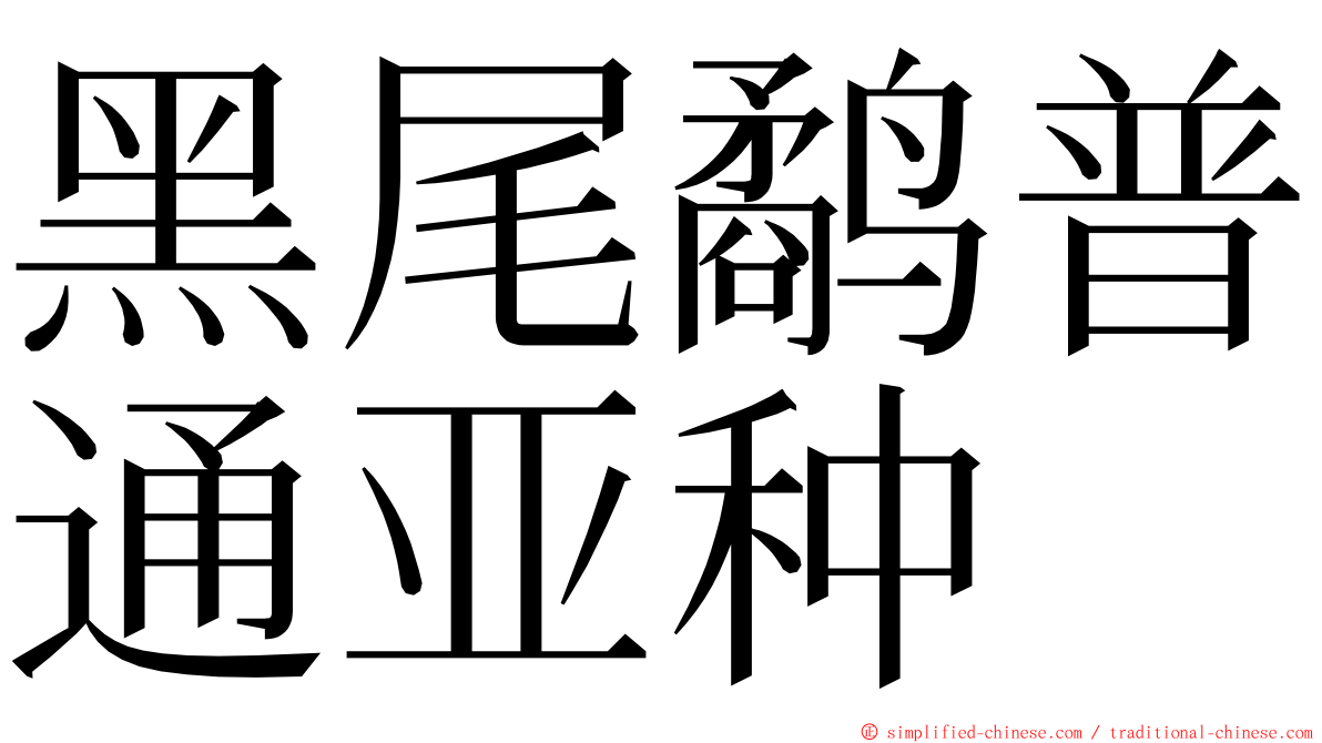 黑尾鹬普通亚种 ming font