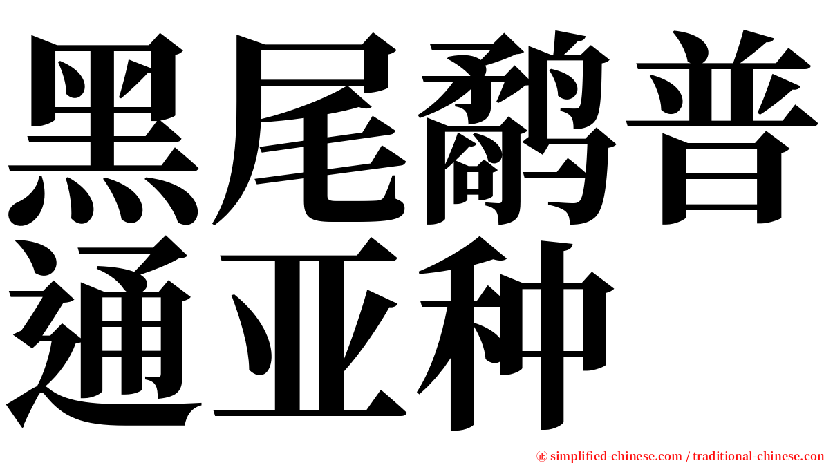 黑尾鹬普通亚种 serif font