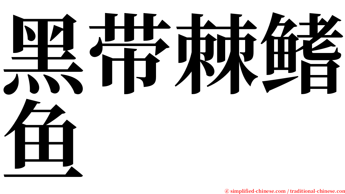 黑带棘鳍鱼 serif font