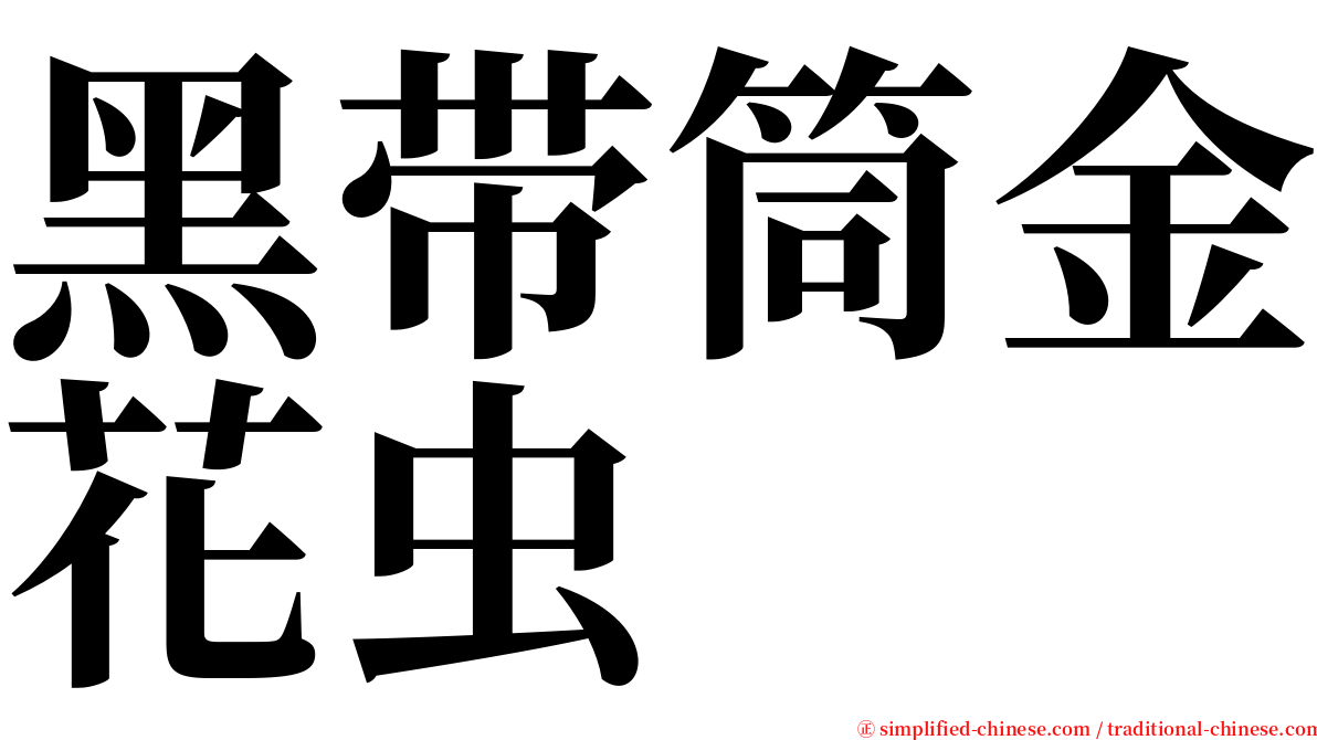 黑带筒金花虫 serif font