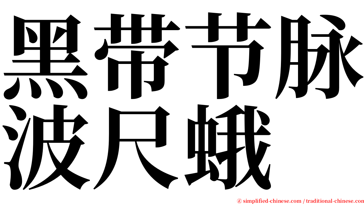 黑带节脉波尺蛾 serif font