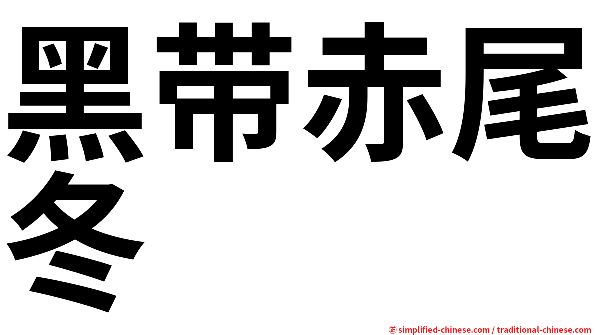 黑带赤尾冬