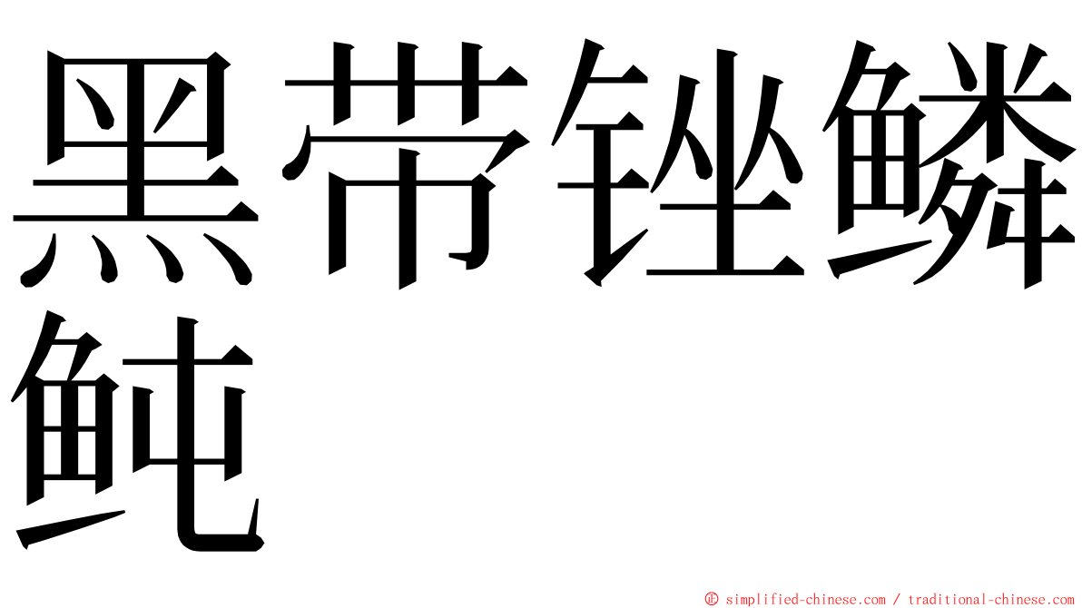 黑带锉鳞鲀 ming font