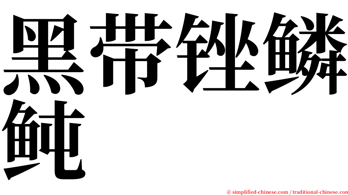 黑带锉鳞鲀 serif font