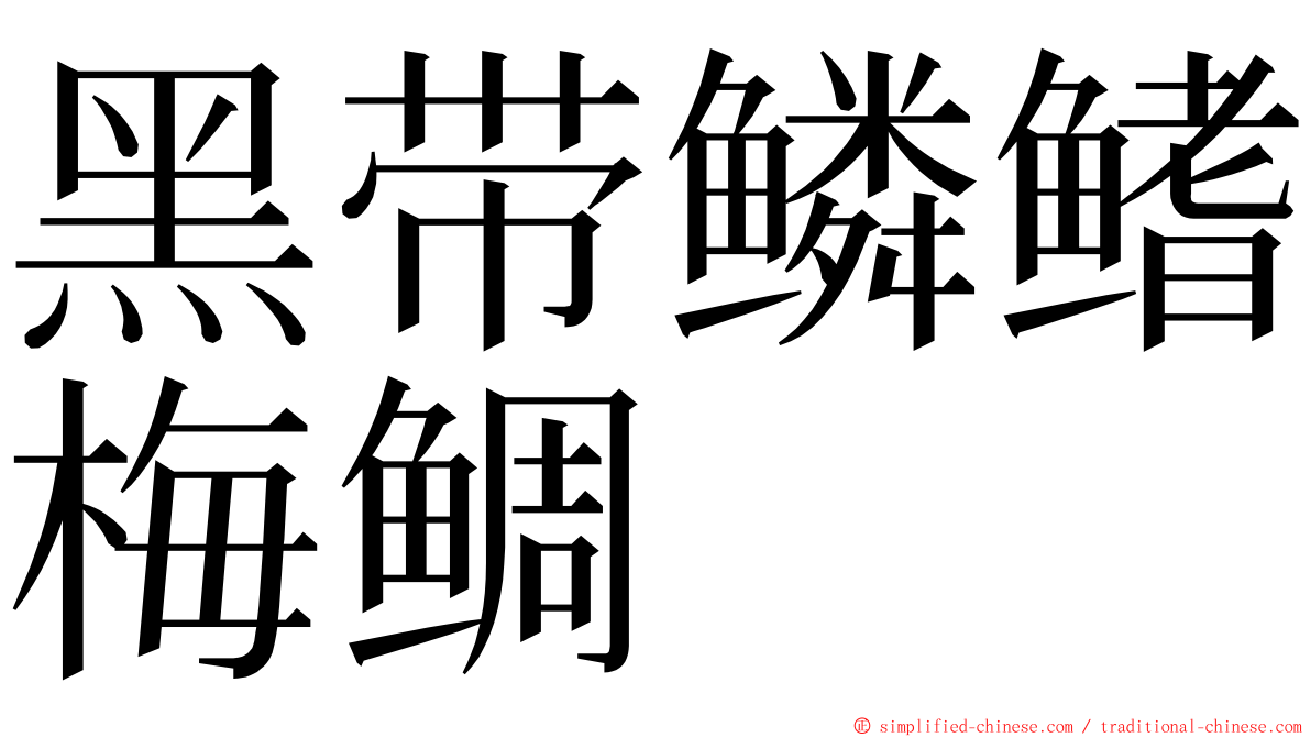 黑带鳞鳍梅鲷 ming font