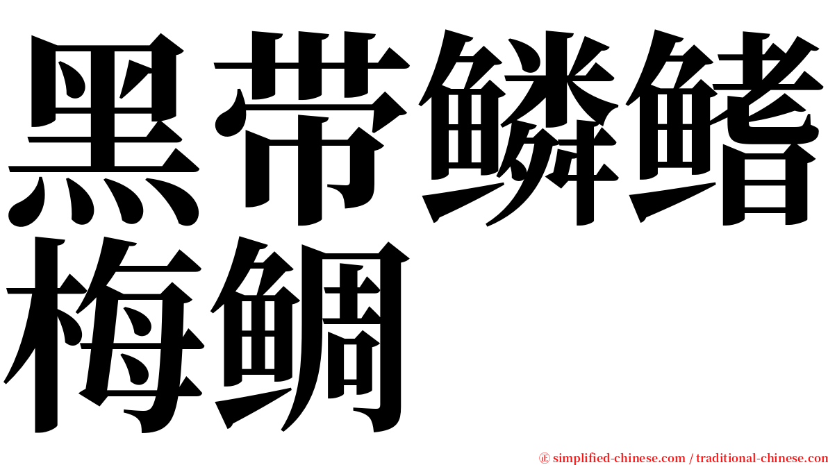 黑带鳞鳍梅鲷 serif font