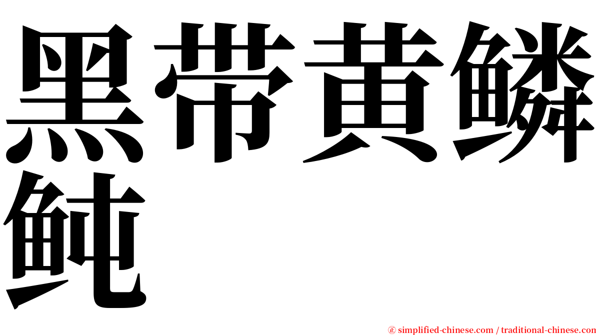 黑带黄鳞鲀 serif font