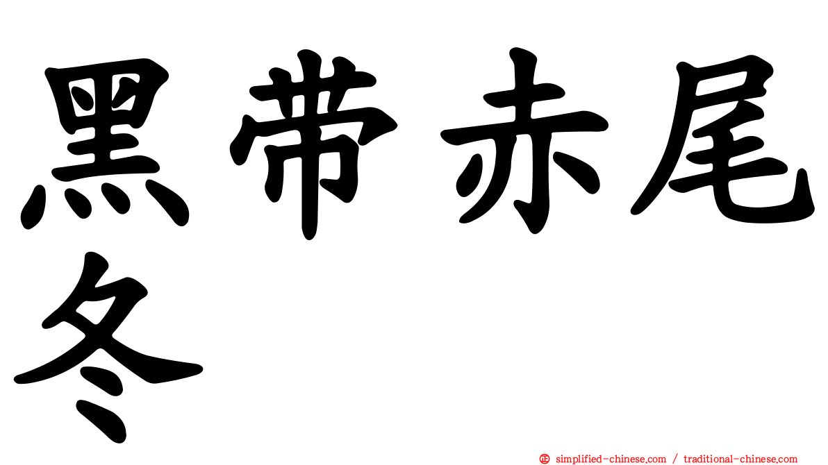 黑带赤尾冬