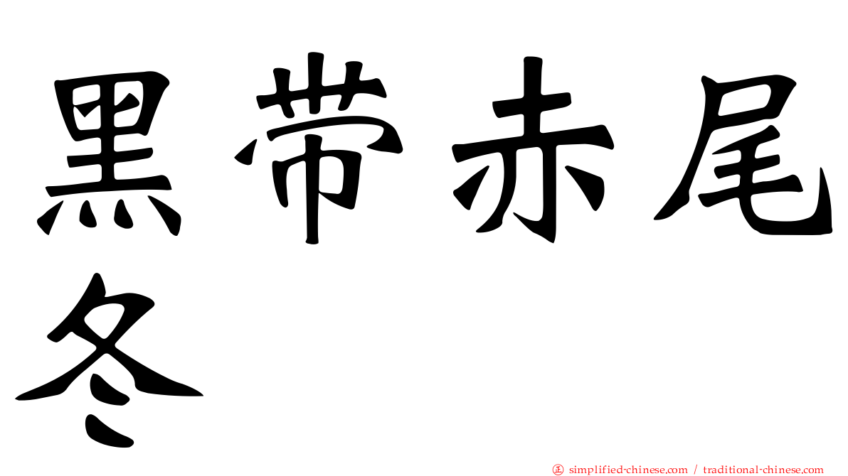 黑带赤尾冬