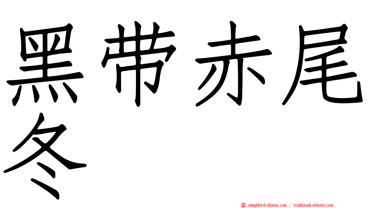 黑带赤尾冬