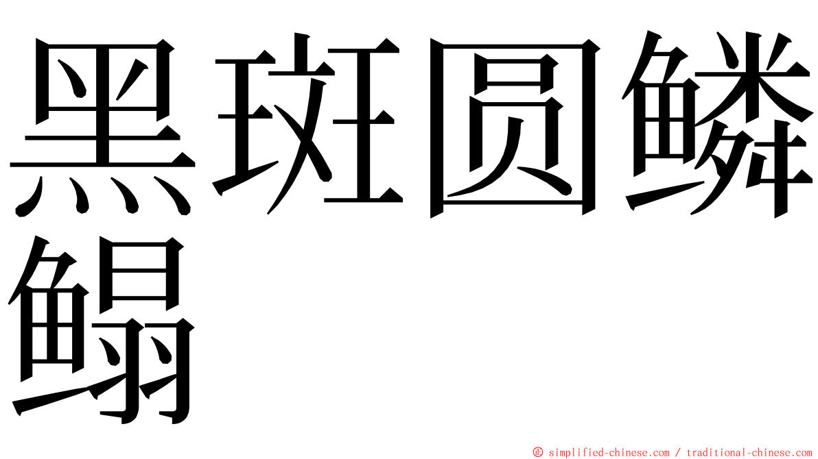 黑斑圆鳞鳎 ming font