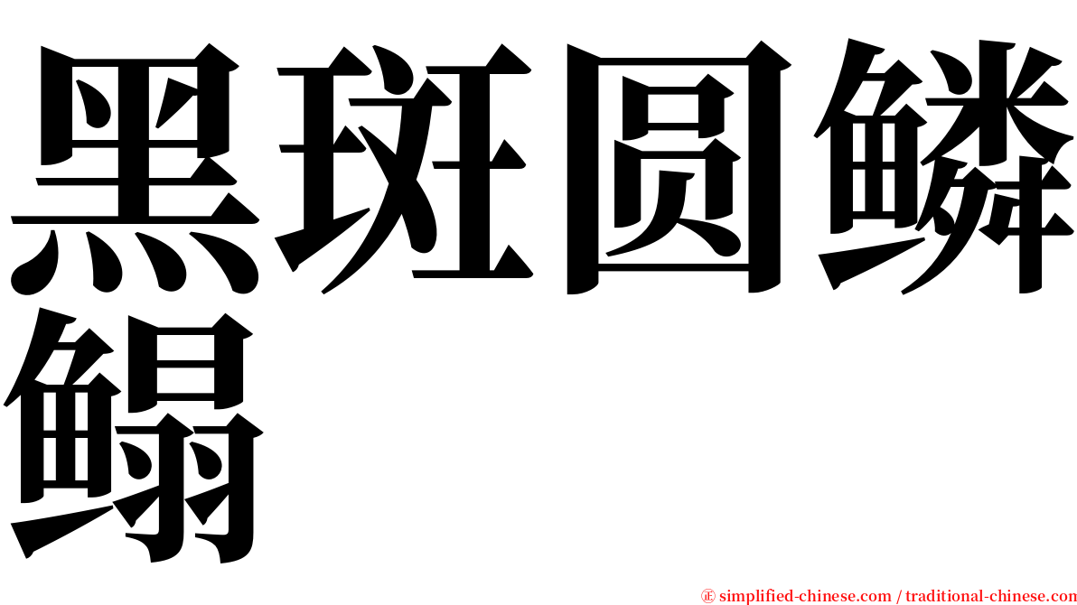 黑斑圆鳞鳎 serif font