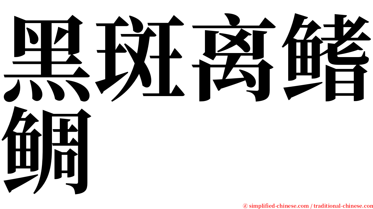 黑斑离鳍鲷 serif font