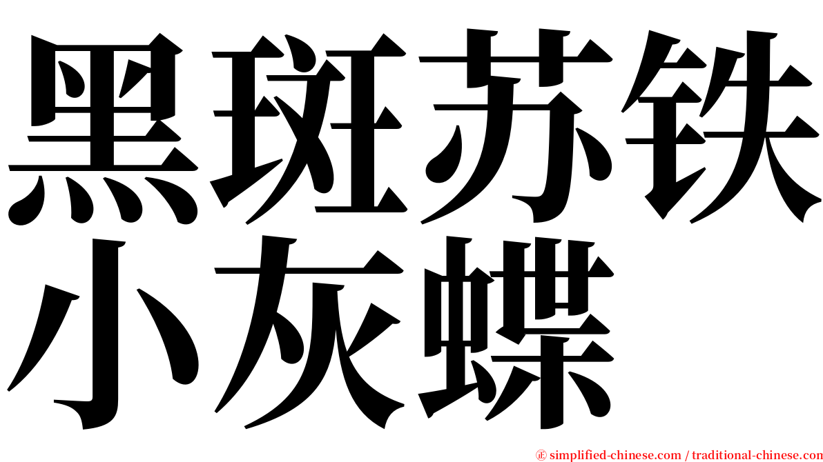 黑斑苏铁小灰蝶 serif font