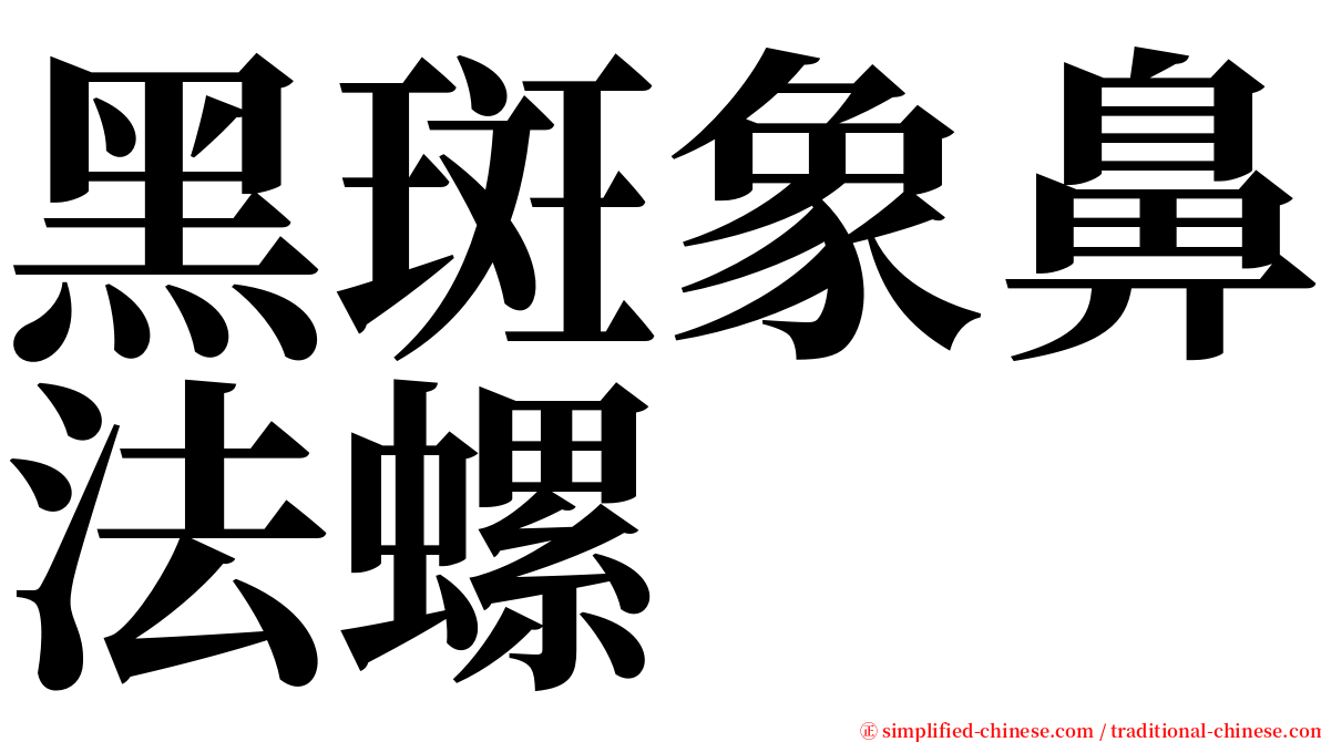 黑斑象鼻法螺 serif font