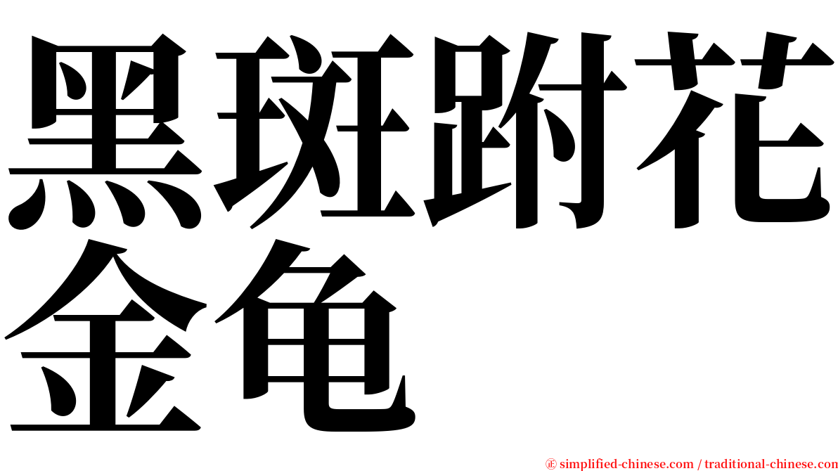 黑斑跗花金龟 serif font