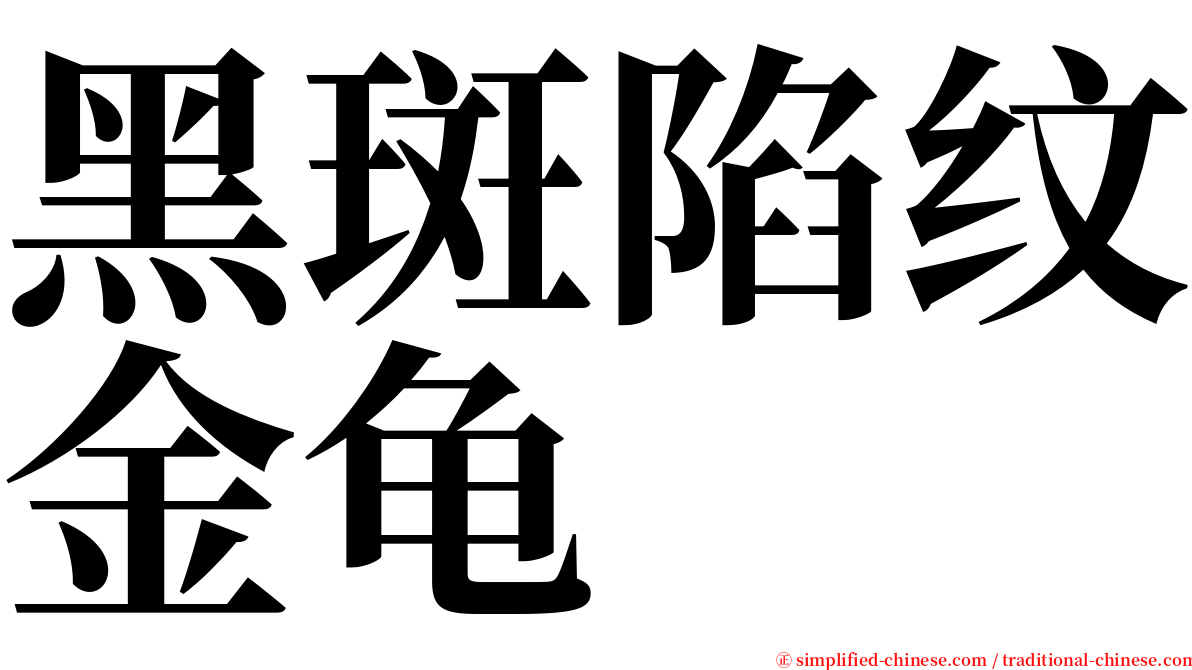 黑斑陷纹金龟 serif font