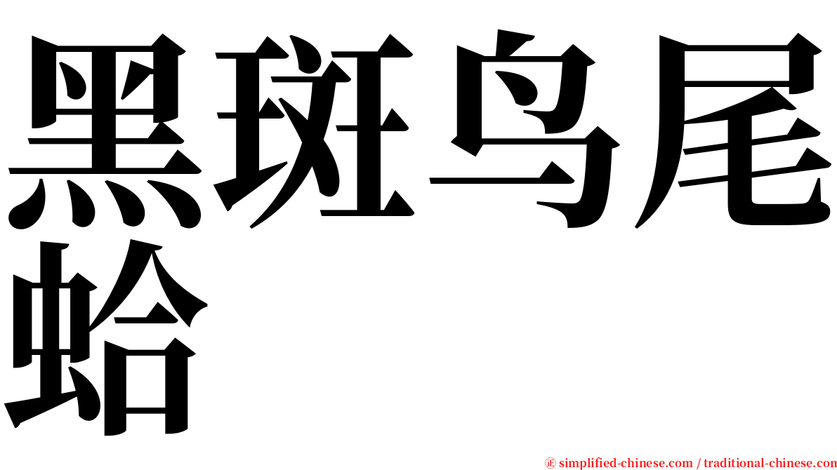 黑斑鸟尾蛤 serif font