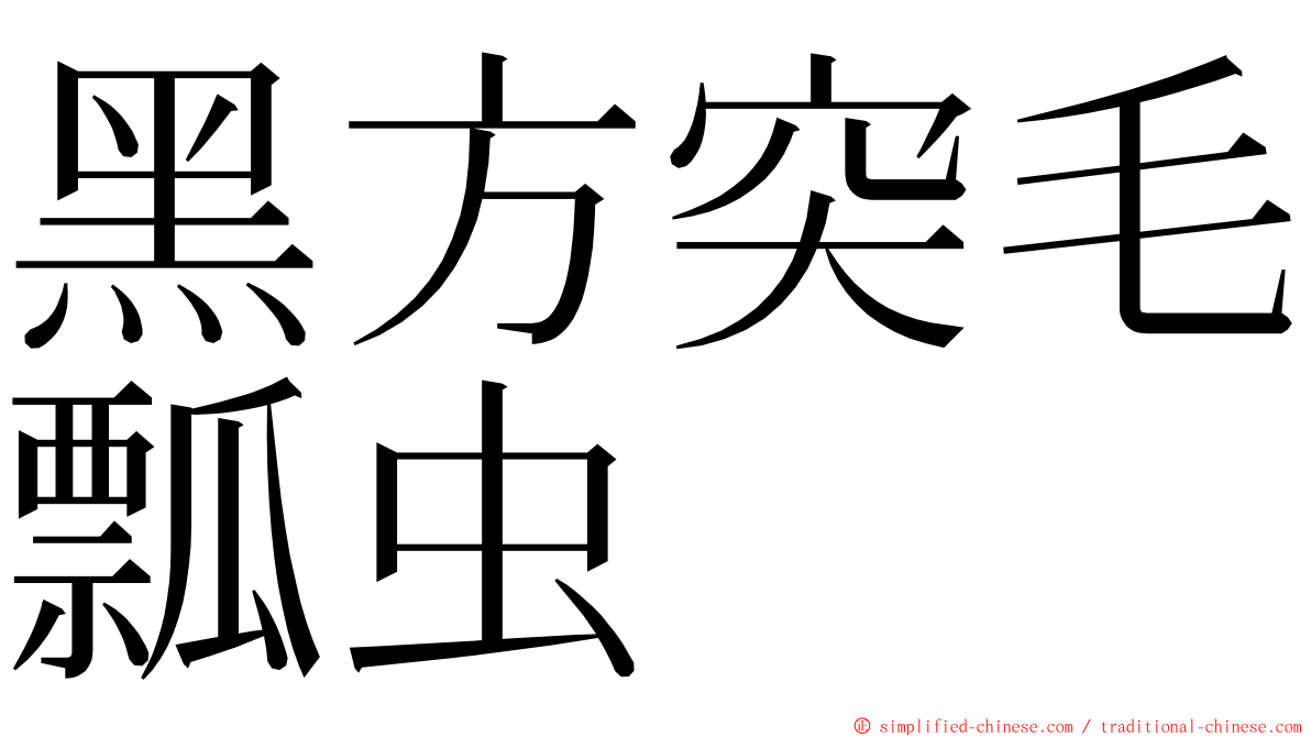 黑方突毛瓢虫 ming font