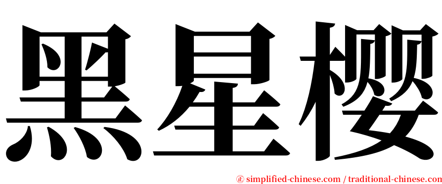 黑星樱 serif font