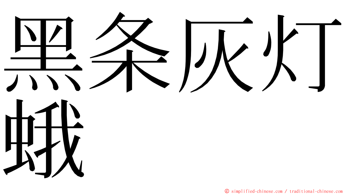 黑条灰灯蛾 ming font