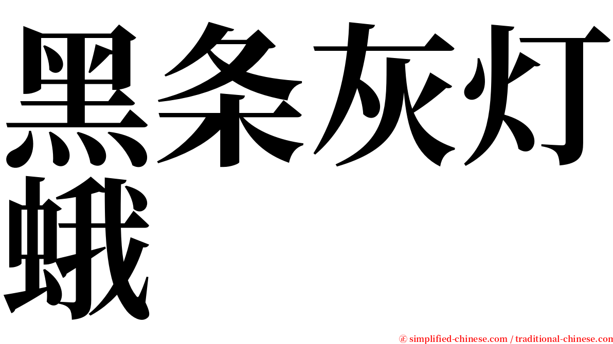 黑条灰灯蛾 serif font