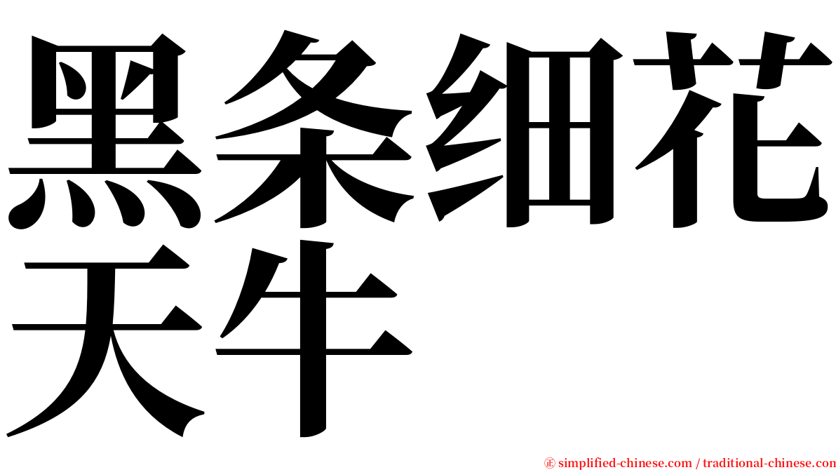 黑条细花天牛 serif font