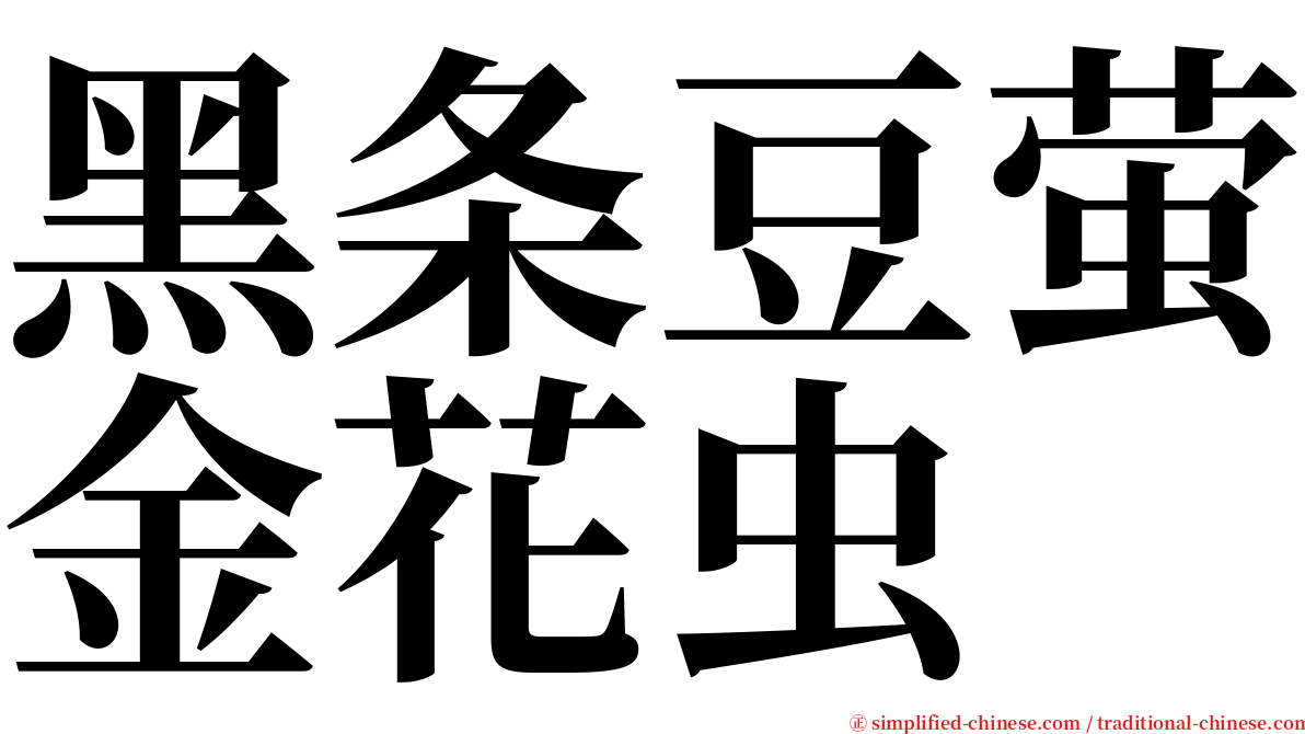 黑条豆萤金花虫 serif font