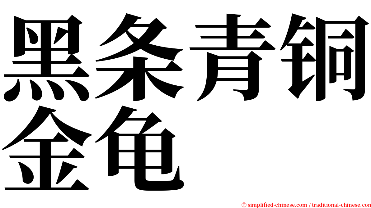 黑条青铜金龟 serif font