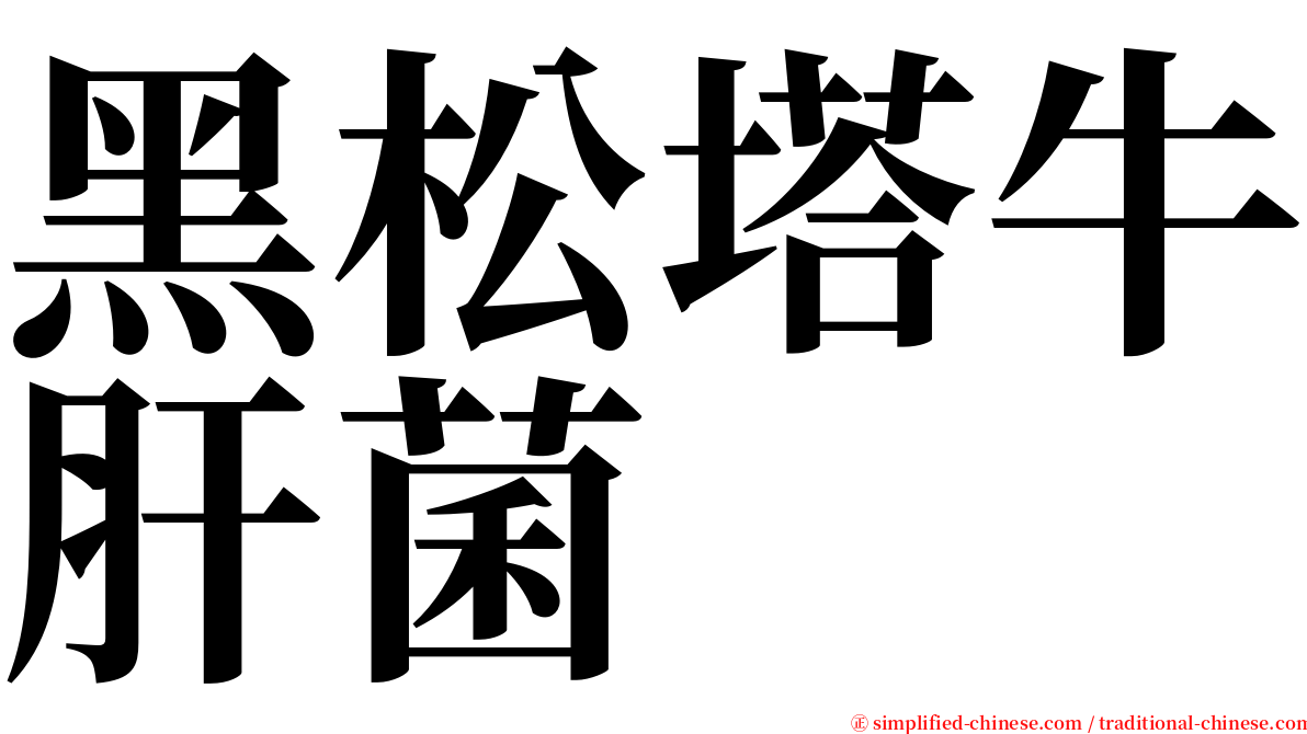 黑松塔牛肝菌 serif font