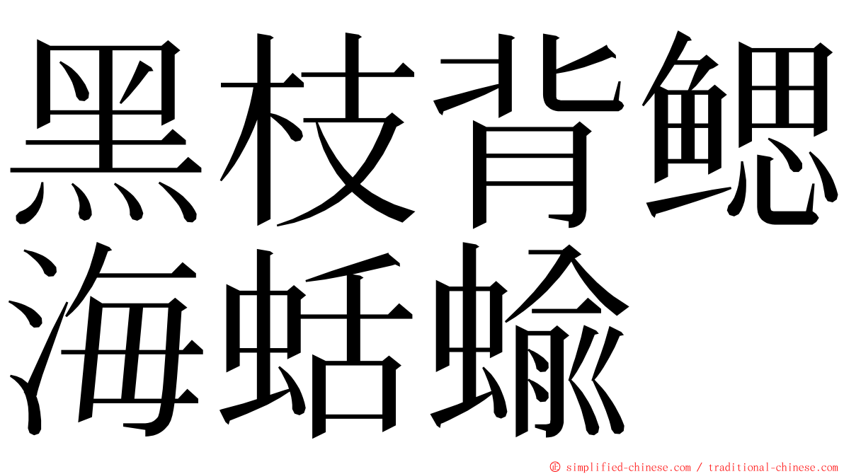 黑枝背鳃海蛞蝓 ming font