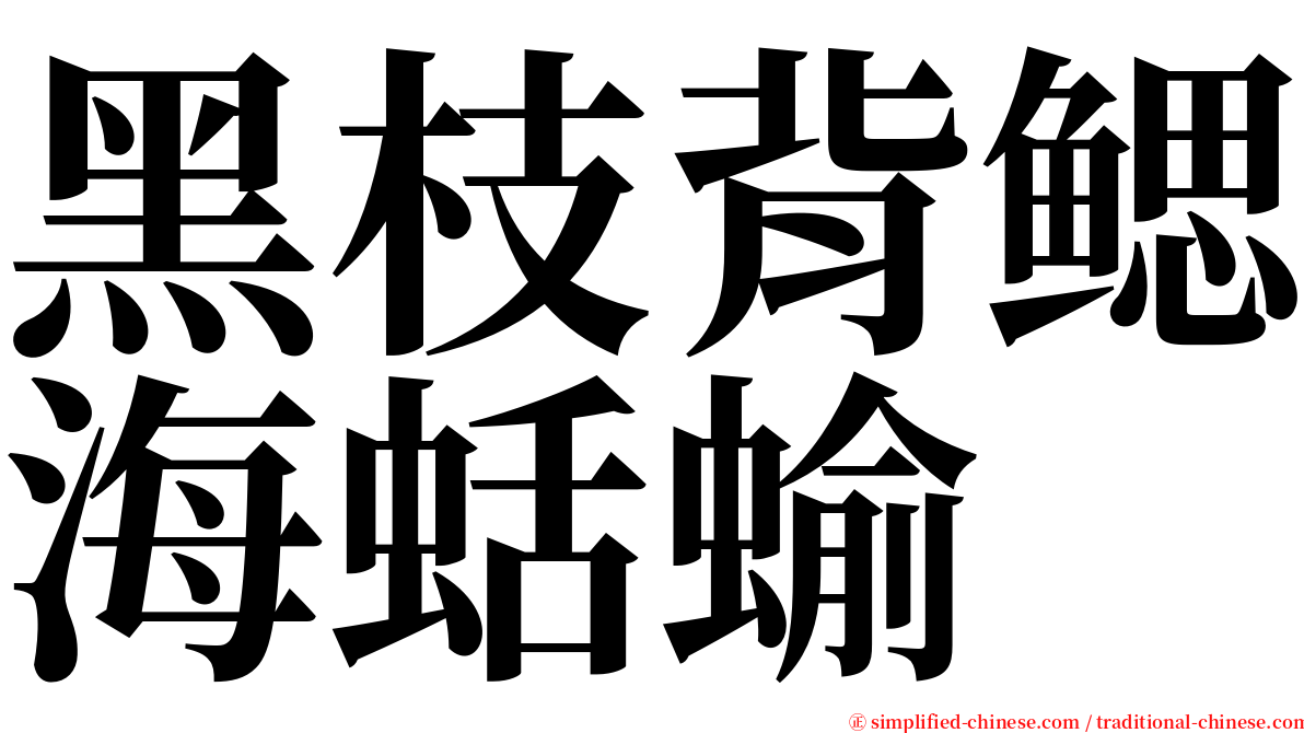 黑枝背鳃海蛞蝓 serif font