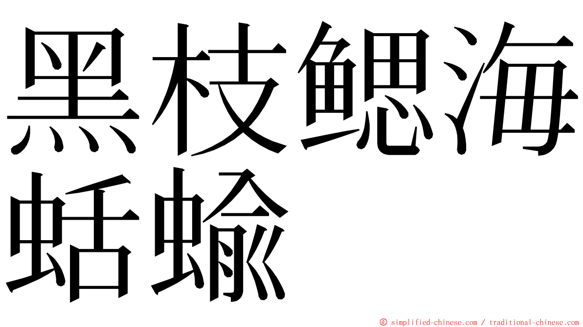 黑枝鳃海蛞蝓 ming font