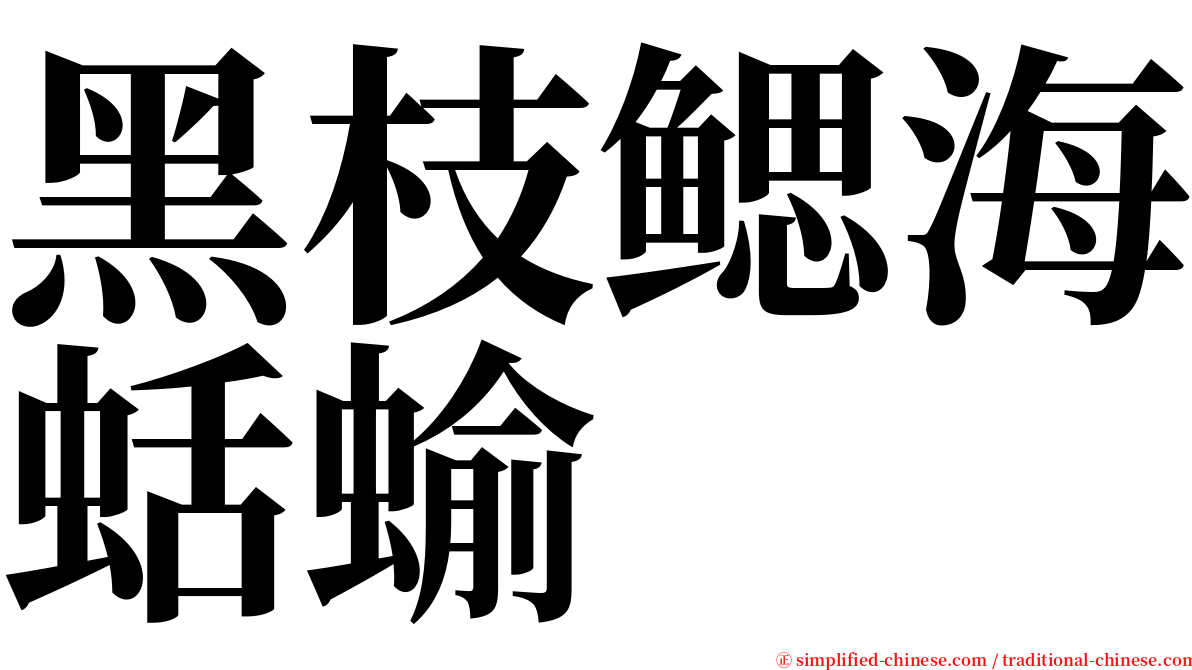 黑枝鳃海蛞蝓 serif font