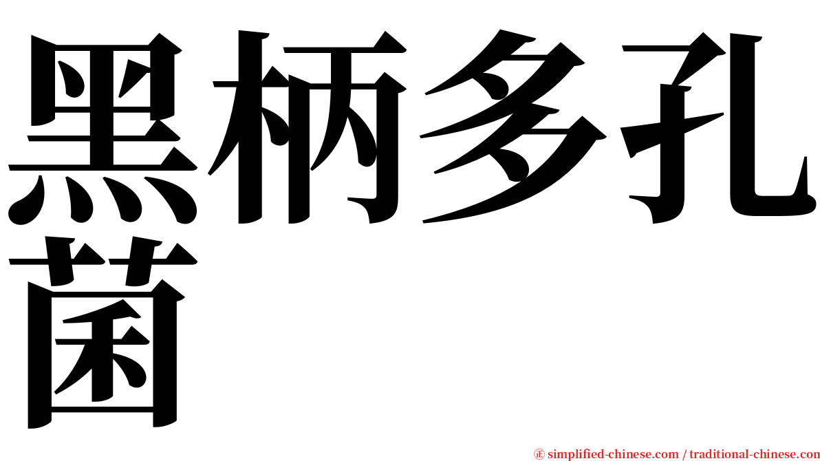 黑柄多孔菌 serif font