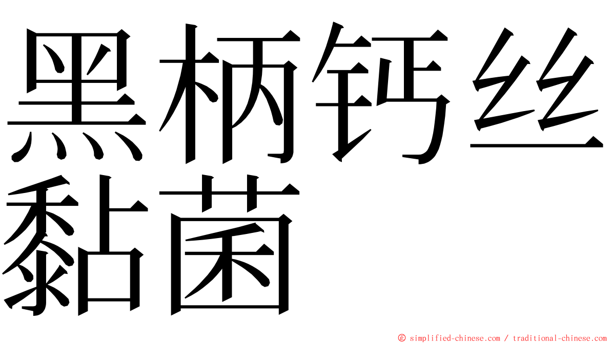 黑柄钙丝黏菌 ming font