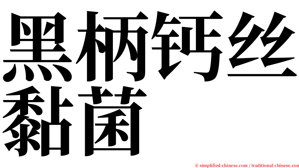 黑柄钙丝黏菌 serif font