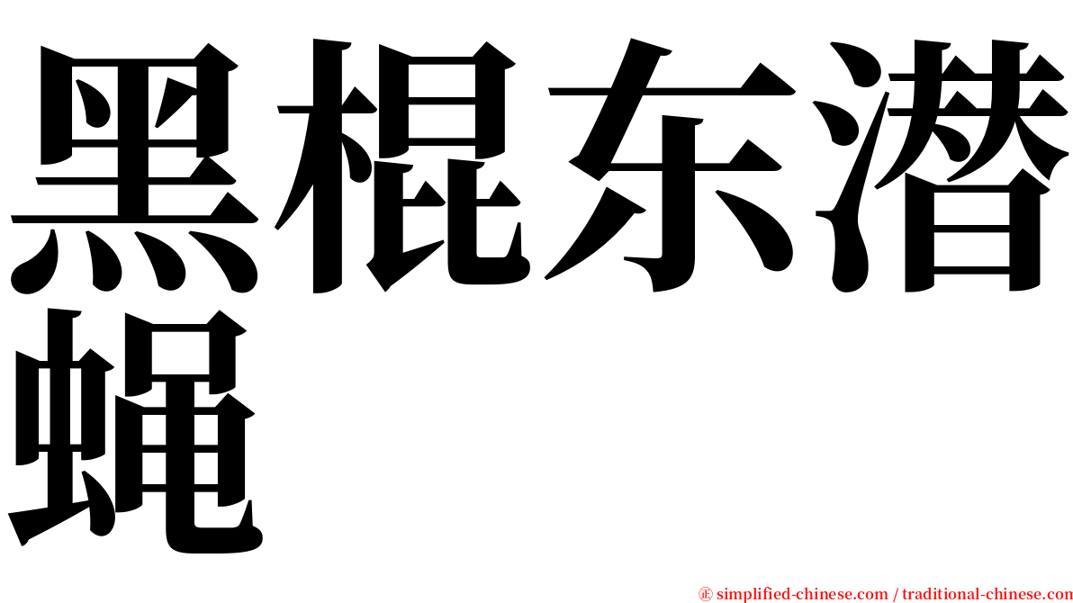 黑棍东潜蝇 serif font