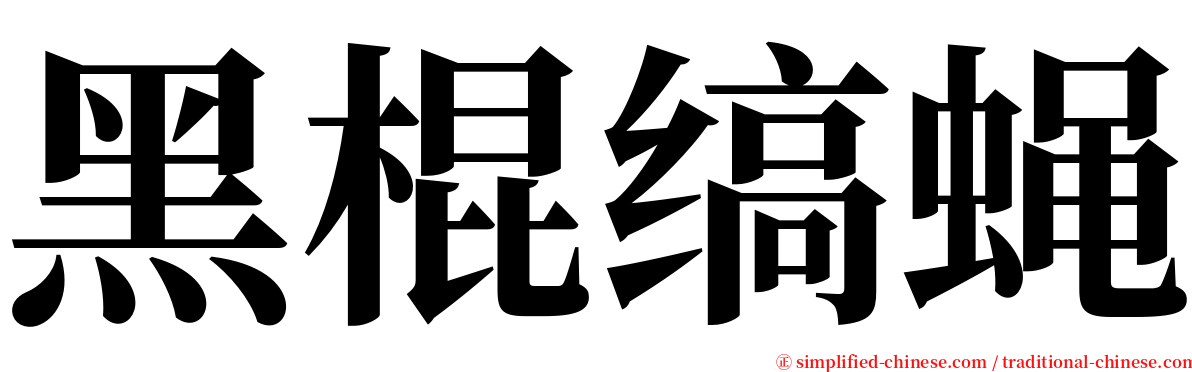 黑棍缟蝇 serif font