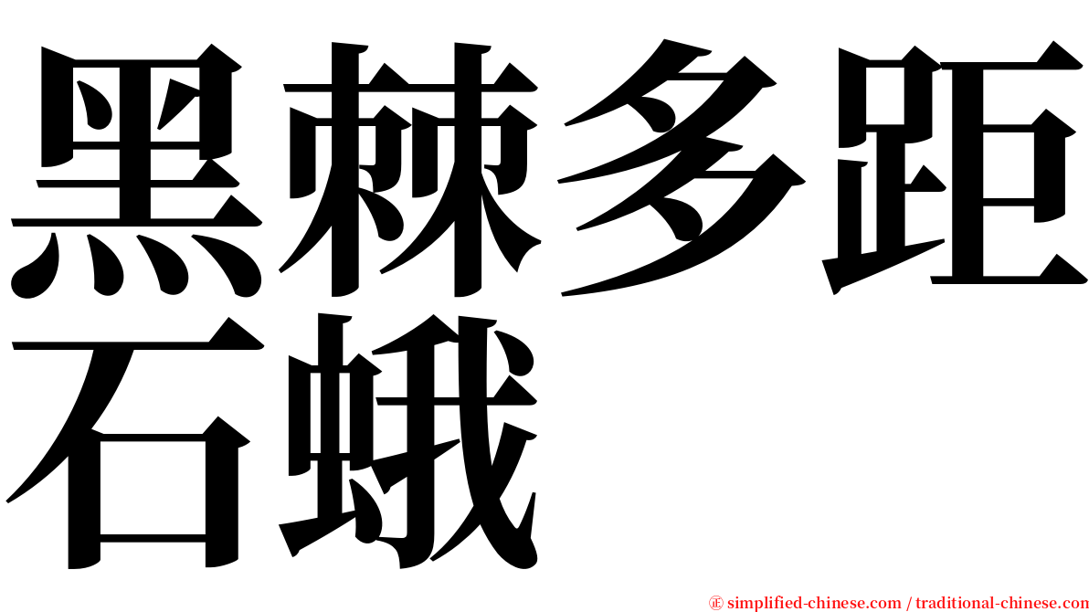 黑棘多距石蛾 serif font