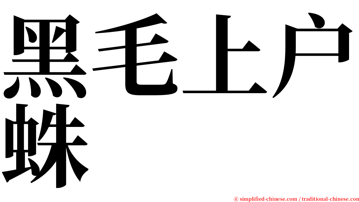 黑毛上户蛛 serif font