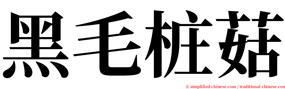 黑毛桩菇 serif font