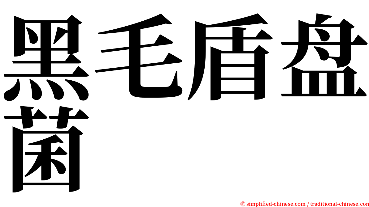 黑毛盾盘菌 serif font