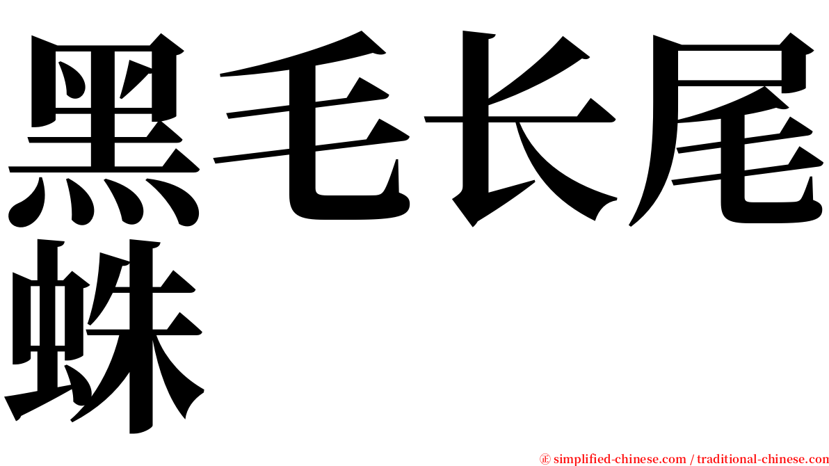 黑毛长尾蛛 serif font