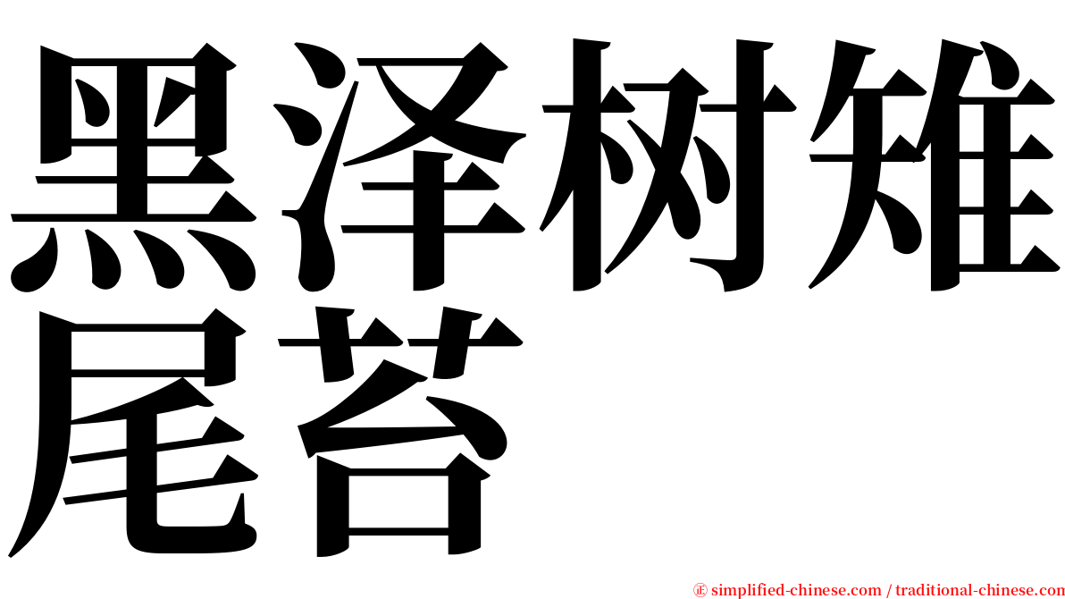 黑泽树雉尾苔 serif font