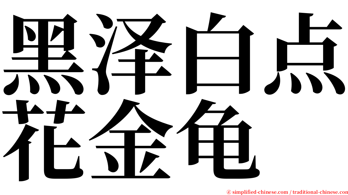 黑泽白点花金龟 serif font